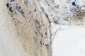 Best Residential Mold Inspection & Testing  in Monticello, MS